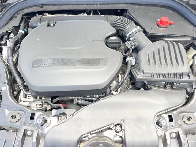 25506596_carP_l_18.jpg