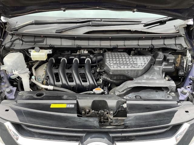 25774753_carP_l_20.jpg
