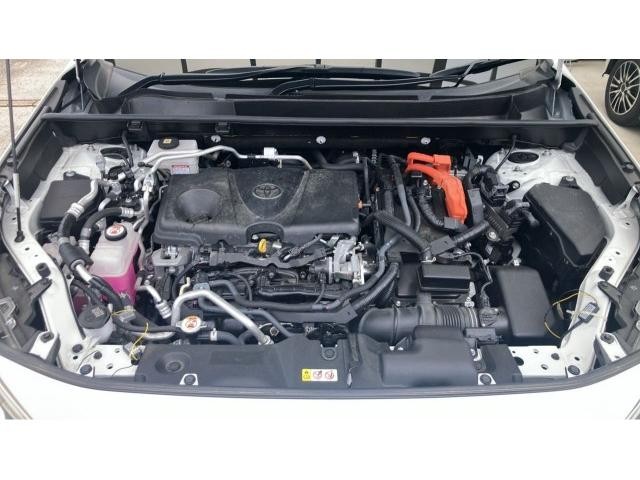 25268544_carP_l_17.jpg