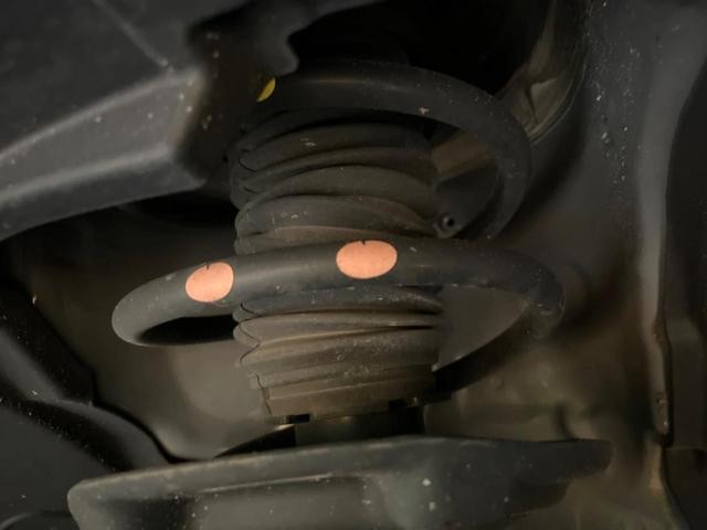 25096492_carP_l_20.jpg