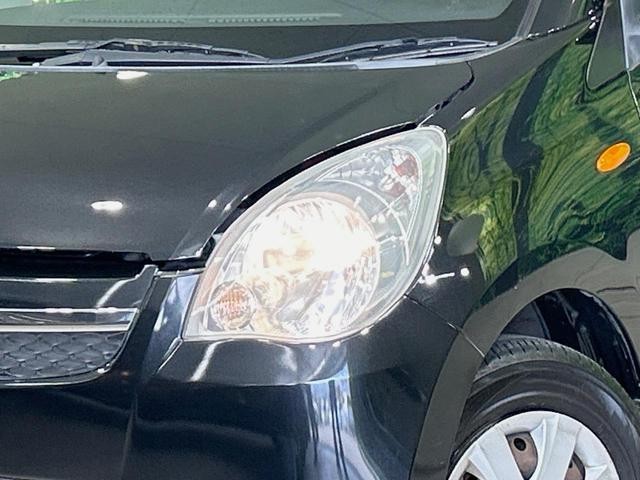 25963284_carP_l_6.jpg