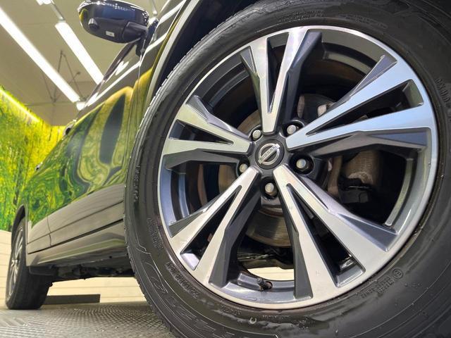 23497282_carP_l_7.jpg