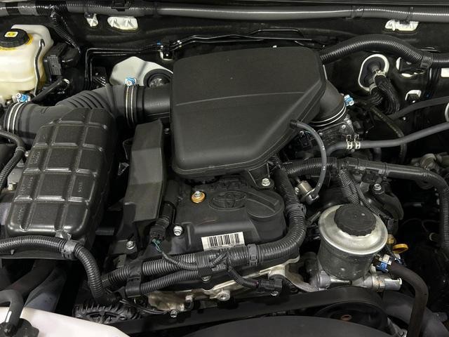 26711098_carP_l_18.jpg