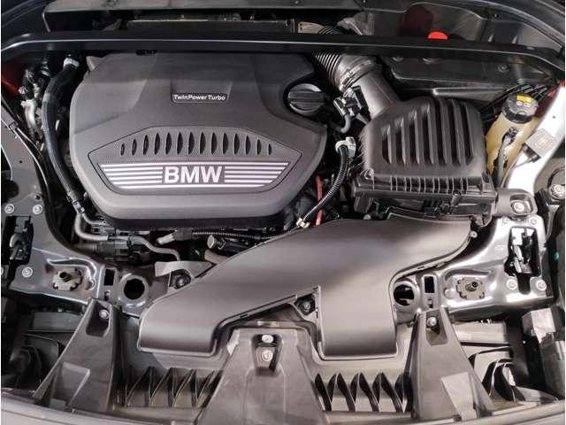 25681548_carP_l_10.jpg