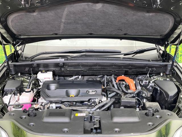 25096498_carP_l_16.jpg