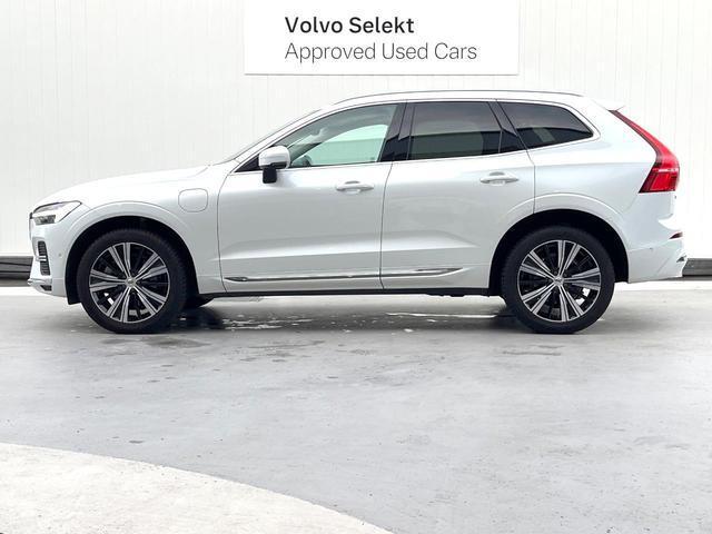 24665268_carP_l_16.jpg