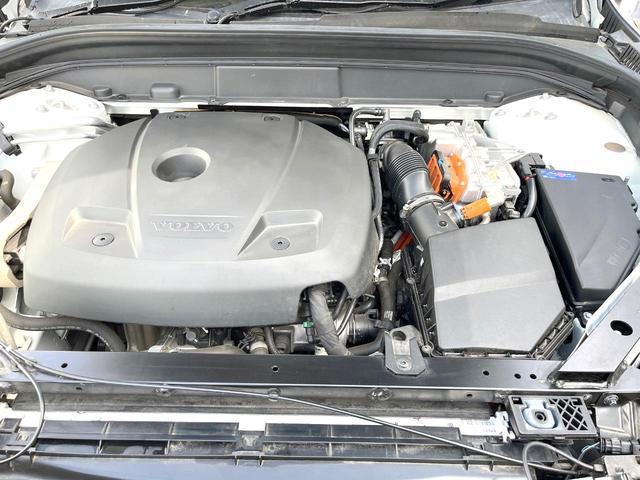 24665268_carP_l_20.jpg
