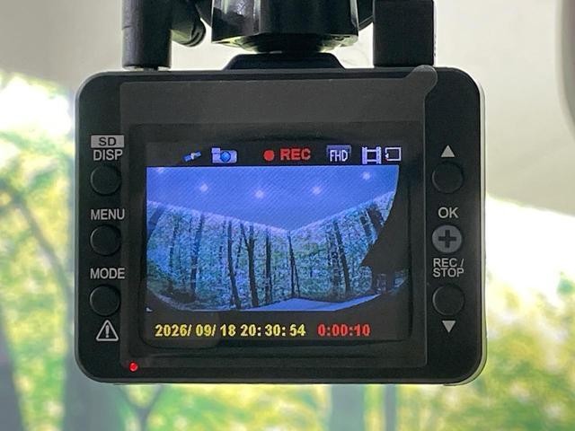 26578622_carP_l_10.jpg