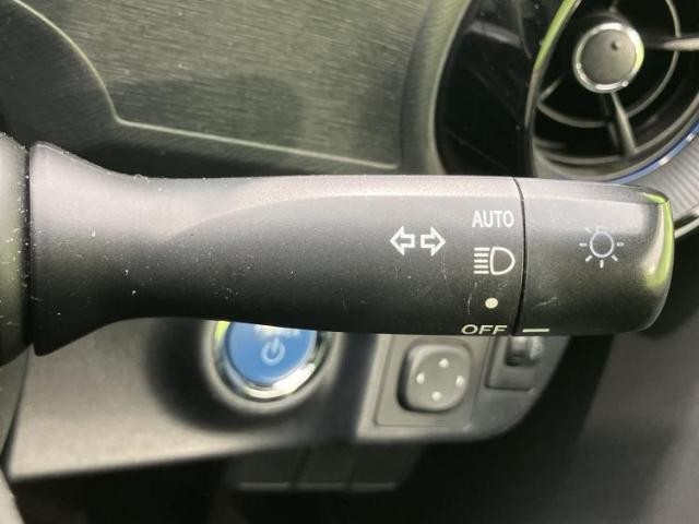 25225678_carP_l_11.jpg