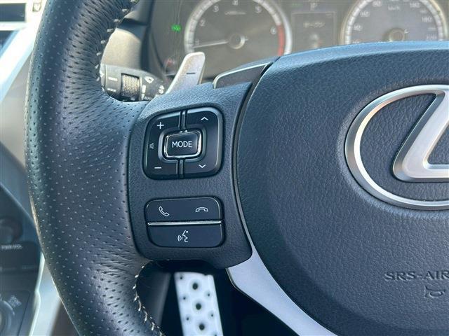 24938204_carP_l_18.jpg