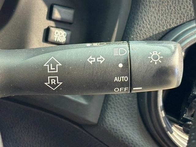 26506229_carP_l_19.jpg