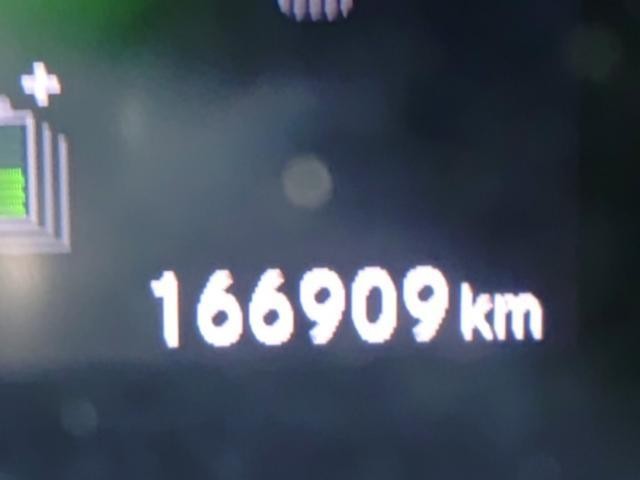 25246803_carP_l_2.jpg