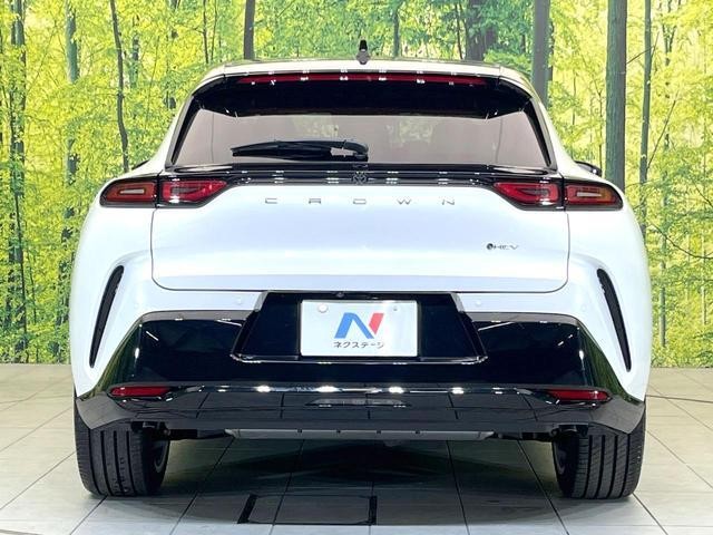 25363793_carP_l_9.jpg