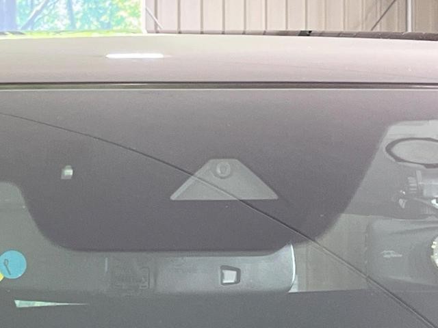 25942668_carP_l_10.jpg