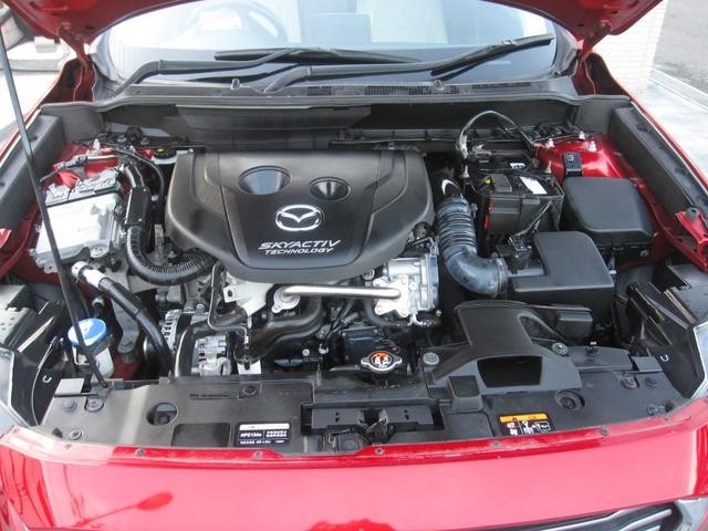 0804732A30260818W00116.jpg