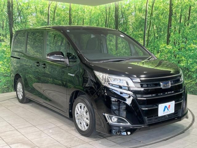25942669_carP_l_12.jpg