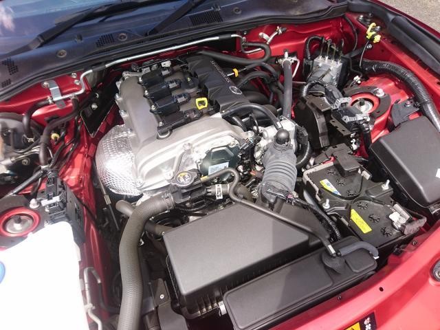 25699512_carP_l_17.jpg