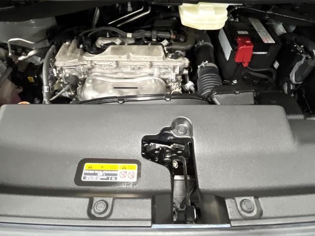 25055899_carP_l_18.jpg