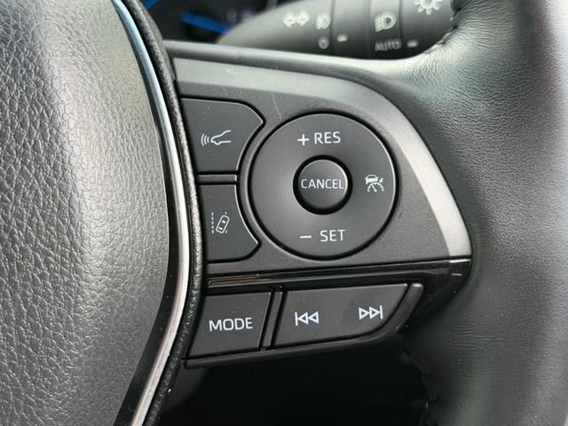 0500068A30260922W00316.jpg