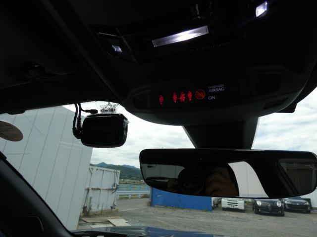24546807_carP_l_18.jpg