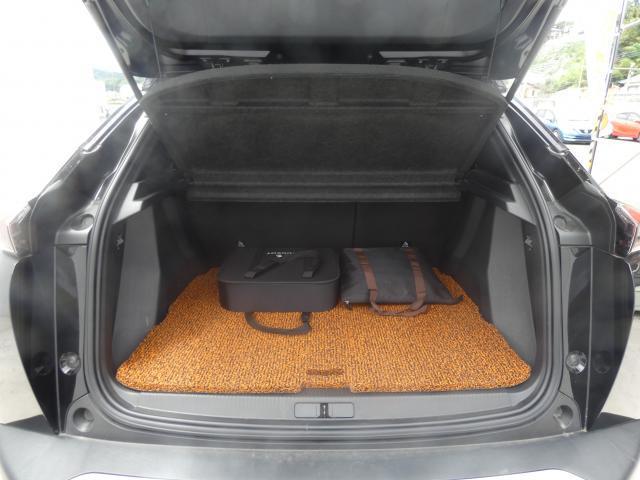24546807_carP_l_20.jpg