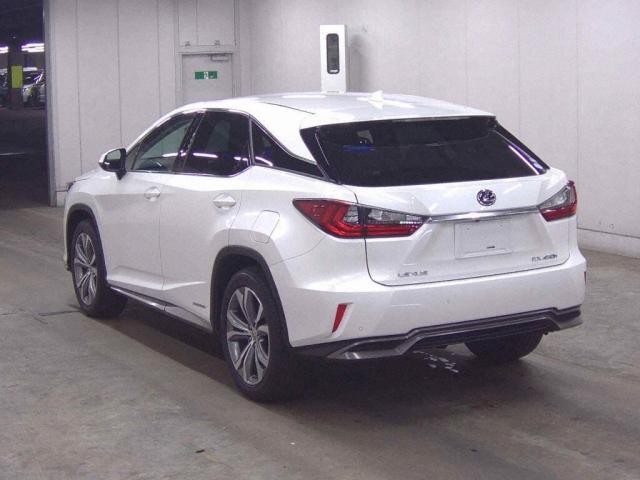 27053427_carP_l_3.jpg