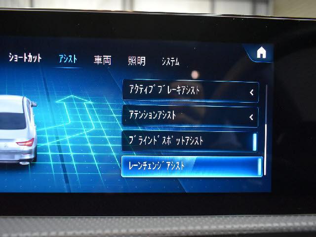24942666_carP_l_17.jpg