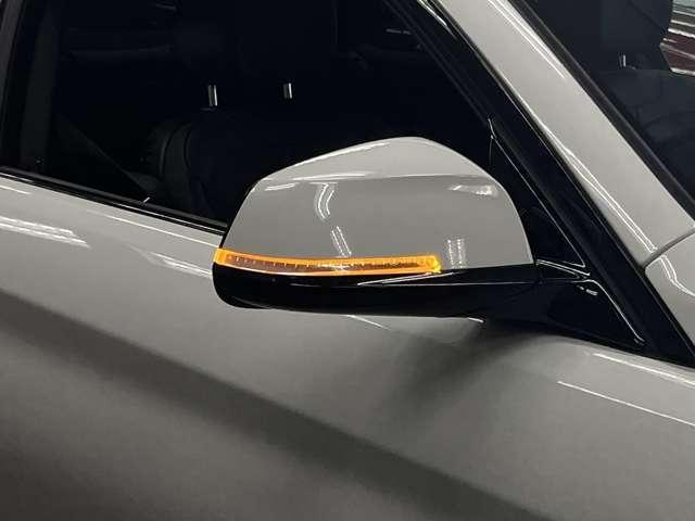 23842572_carP_l_8.jpg