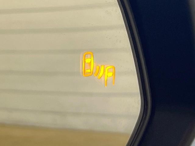 25506757_carP_l_14.jpg