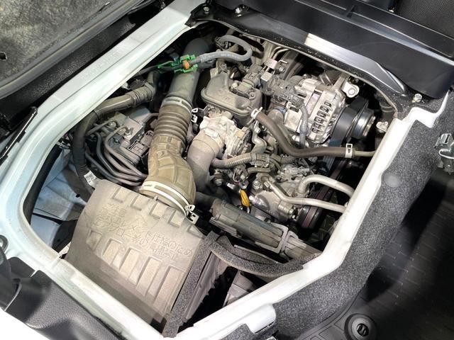 25241998_carP_l_16.jpg