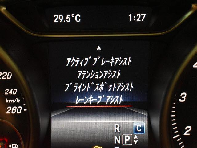 24942668_carP_l_14.jpg