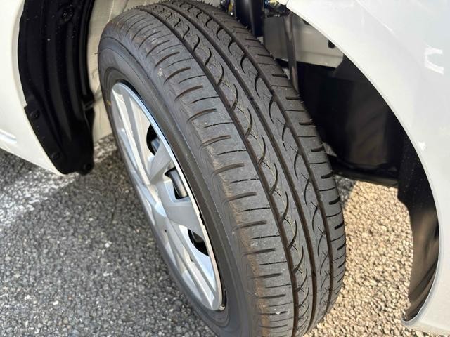 25627766_carP_l_19.jpg