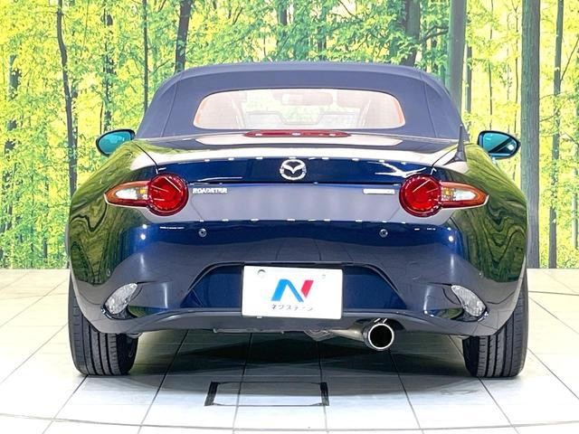 25055940_carP_l_7.jpg