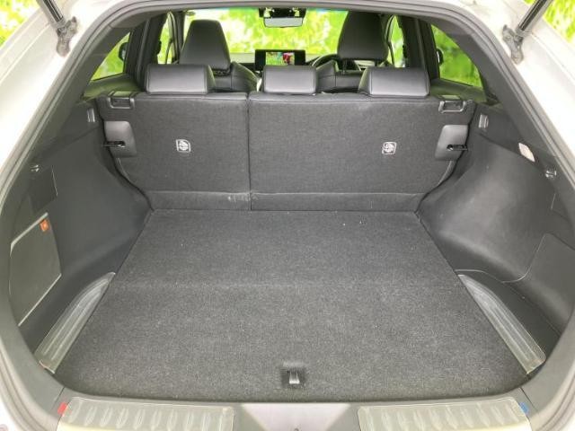 24813445_carP_l_17.jpg