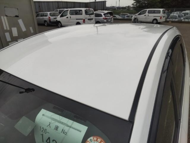 25246811_carP_l_14.jpg