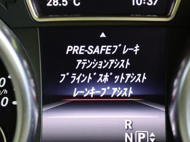 24947439_carP_l_10.jpg