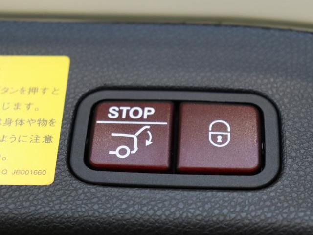 24947439_carP_l_8.jpg