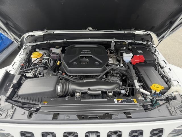 26732118_carP_l_19.jpg