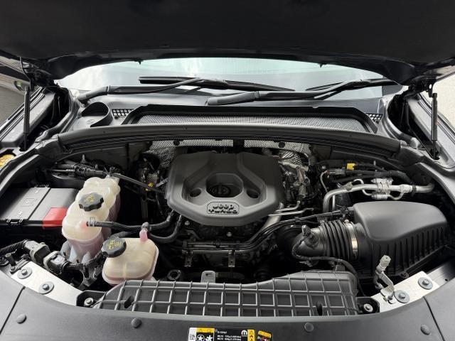 26732119_carP_l_19.jpg