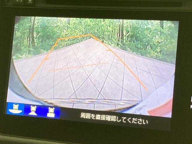 23497495_carP_l_10.jpg