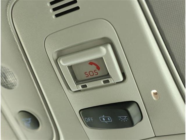25528197_carP_l_6.jpg