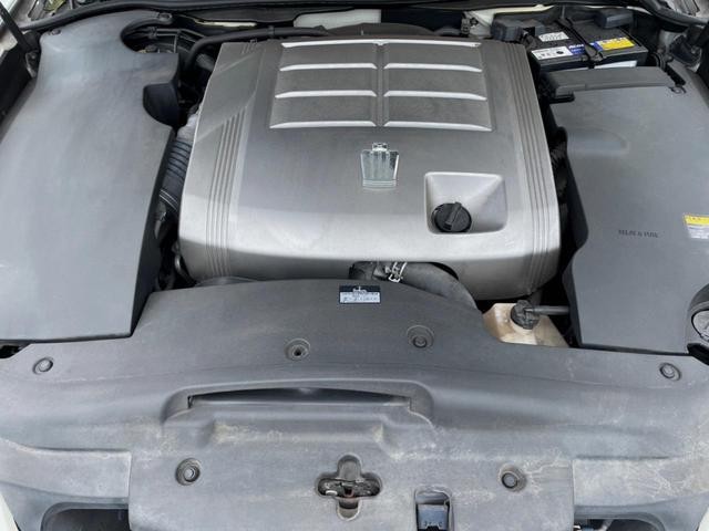 25884890_carP_l_16.jpg