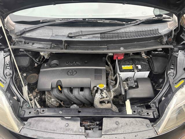 24947534_carP_l_4.jpg