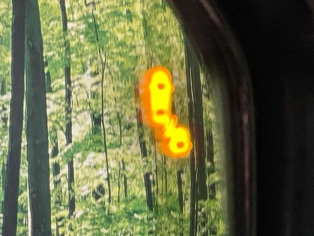 23827383_carP_l_14.jpg