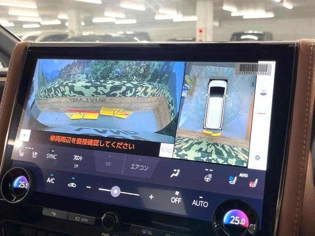 25632545_carP_l_4.jpg