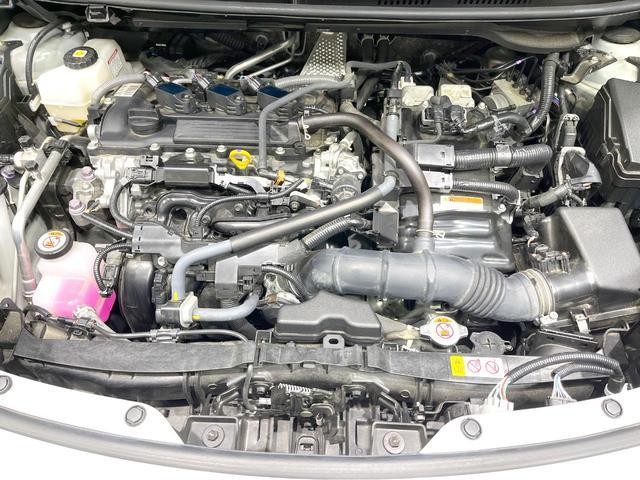 26815936_carP_l_16.jpg