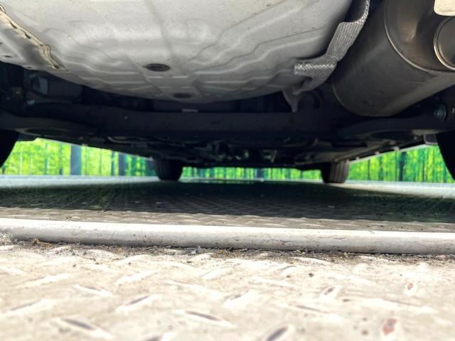 25506790_carP_l_18.jpg