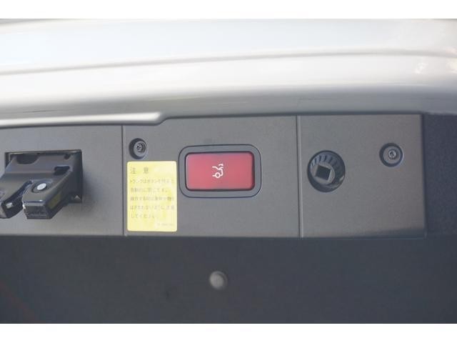 25383964_carP_l_9.jpg