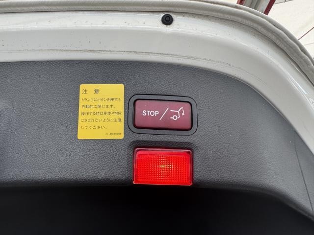 26421272_carP_l_20.jpg