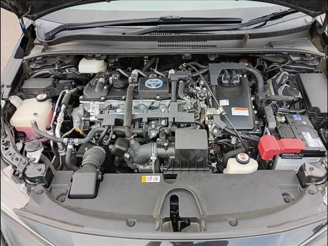 bb7752deea2e586e1d62af95df84896a.jpg